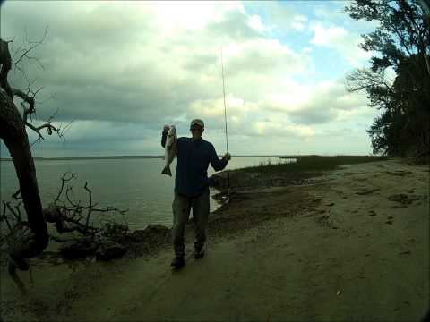 Mission Fishin