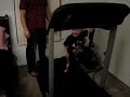 Alex on treadmill
