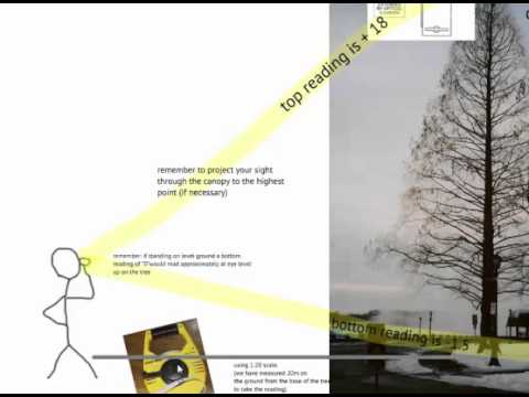 how to measure height of a tree
