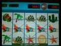 Automaten Gewinne und Jakpots