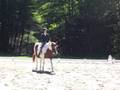 Emily & SnowpatchesDressage King Oak Fall 2008