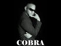 Boom Boom by ''COBRA''