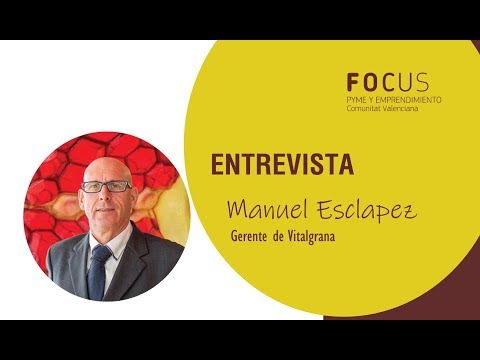 Entrevista Manuel Esclapez en Focus Pyme Baix Vinalopó 2019