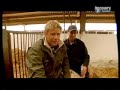 Dirty Jobs w Peter Schmeichel Dirty Jobs w Peter Schmeichel