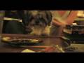 videos de Cassius.mov