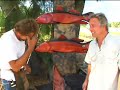 The Fish Carver