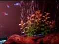 VID 00009-20091121-0751.3GP