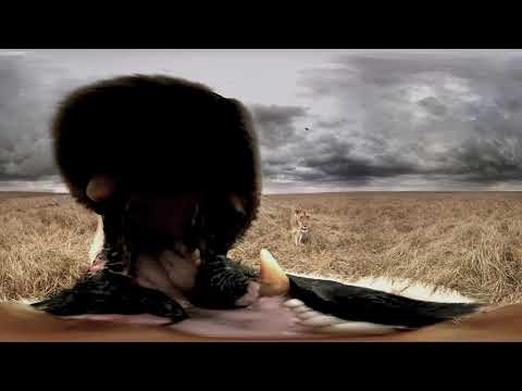 African Wildlife up CLOSE ! - VR 360º video - YouTube