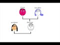The Story of Oedipus and Antigone
