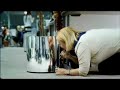 Boots Christmas TV ad \ Boots Christmas TV ad \