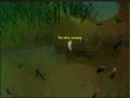 videos de How To Make 600k+ A Hour