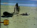 V�deo-Cassetadas do faust�o 12