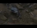 Kingdom Hearts Birth by Sleep Intro Teaser