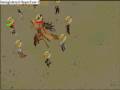 Kalphite Queen Massacure Kalphite Queen Massacure