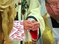 Msza ?wi?ta z udzia?em kard. Macharskiego - Podniesienie
