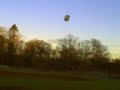 Lightflite RC Bug