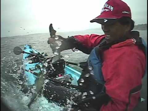 Kayak Fishing for Thresher Shark by johnnyceviche