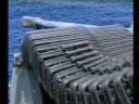 Seafarer's Spokesman Realesed While Somali Govt Says Its Powerless Againist Pirates