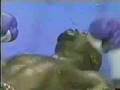 Funniest-Knockout-Ev