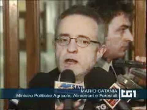 Guarda il video Guarda il video
