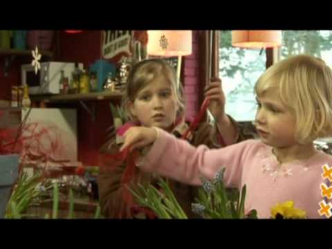 YouTube voorvertoningsafbeelding