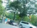 Bicing al central park juliol 2008