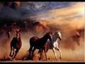 A.J Gharib (خۆشه ویستم) Honrawa