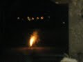haller 2007 4 haller 2007 4