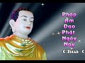 Vấn đáp: Tình Cha Con - phần 1/5