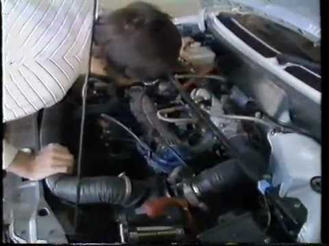 cheltenham today cheltenham today