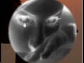 Asl? G�ng�r (bymurat)