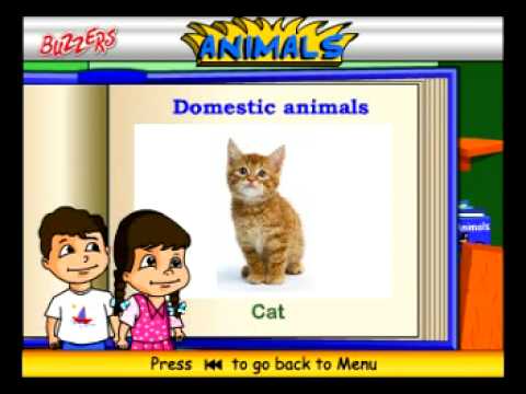 Domestic Animals for Nursery Kids