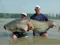 WTF - Worlds Biggest Things - www.magicthoughts.com WTF - Worlds Biggest Things - www.magicthoughts.com