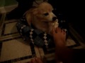 SPIKE HAS A DISEASE!