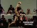 The Art Of Bodybuilding Zane Corney And Schwarzy