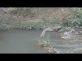 Click here to watch this video Ouzoud Falls Morocco , Cascades d' Ouzoud Maroc