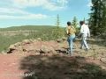 Wildlife Viewing White Mountains