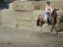 orien-trainingjumps.html