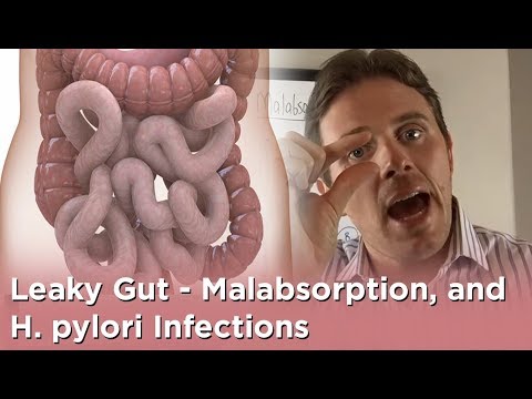 how to cure h pylori infection