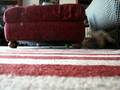 videos de Wrigley 1