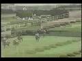 阪神障害ステークス･秋 1997年 アワパラゴン