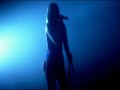 Search Video
