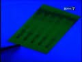 Asal Usul Mahkota Dewa Trans 7 Asal Usul Mahkota Dewa Trans 7
