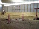 First time ever - Quintain practice