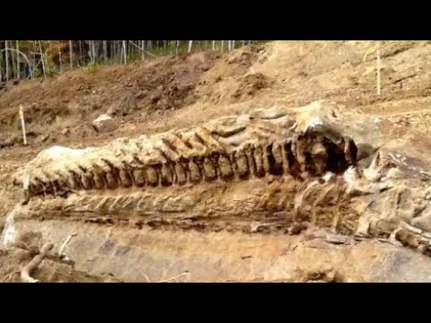 12 Most Incredible Finds That Scientists Still Can't Explain