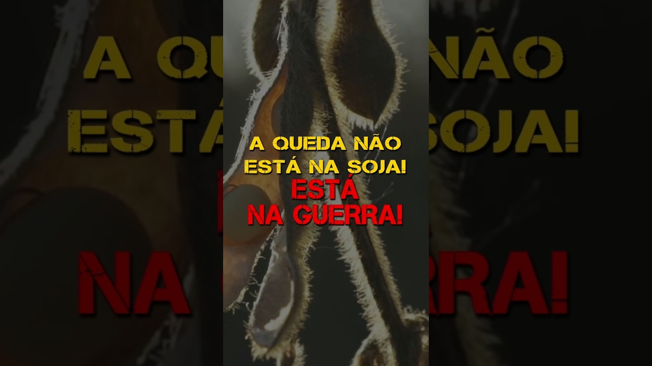 A QUEDA NÃO ESTÁ NA SOJA! ESTÁ NA GUERRA!