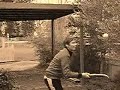 Almost Shinty
