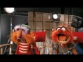 the muppets animal