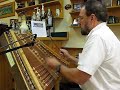 Timothy Seaman Hammered Dulcimer