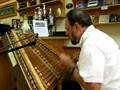 Timothy Seaman Hammered Dulcimer